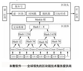 公开的比特币私钥：危险性与应对措施