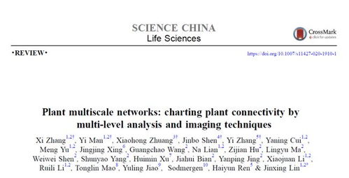 比特币林庆星身价