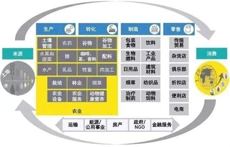 区块链的转型模型