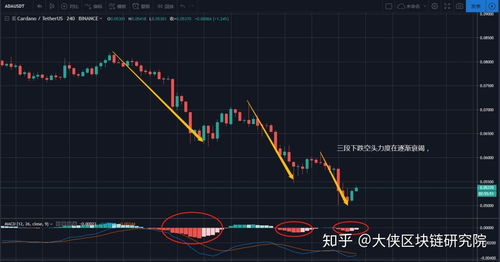 比特币老板是否真的跑路了