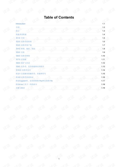 精通比特币中文版