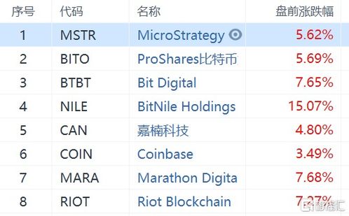 比特币概念股大涨