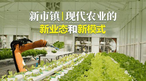 中国区块链农业产业发展现状