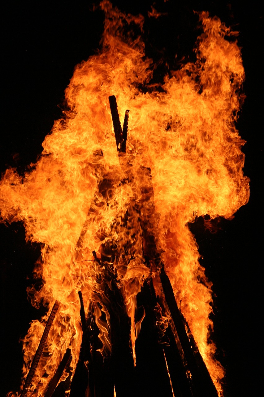 夏洛特的欢迎会，一场跨越文化的庆祝盛宴