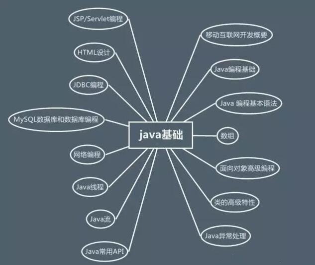 零基础看 Java 优学网数组课：轻松入门，高效掌握编程核心